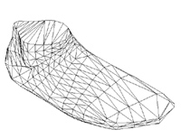 Foot Homologous model