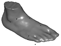 Foot form and Landmarks